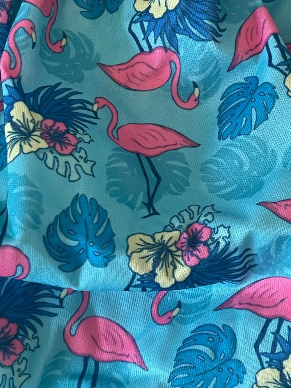 ALVABABY…..Reusable Diaper Cover in Blue with Fruit & Floral Prints